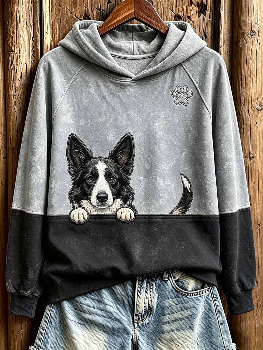 Women's  Peeking Border Collie & Paw Print Contrast Color Cozy Sweatshirt